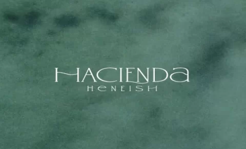 هاسيندا سيدي حنيش الساحل الشمالي (19839)20+ Hacienda Sidi Heneish من بالم هيلز