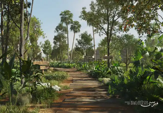 مشروع-مرسى-باجوش