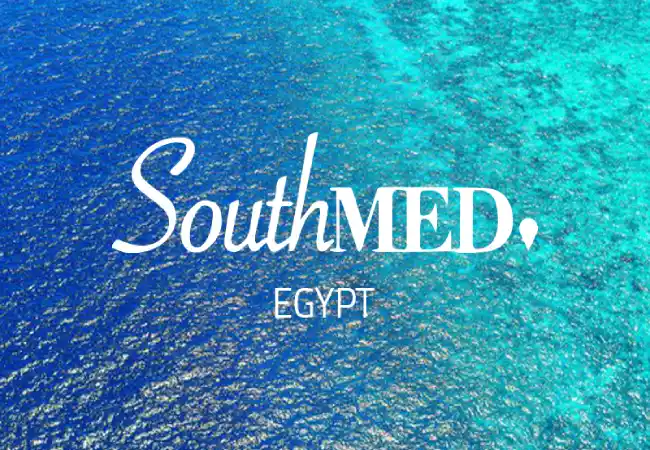 مشروع-ساوث-ميد-الساحل-الشمالي-طلعت-مصطفى