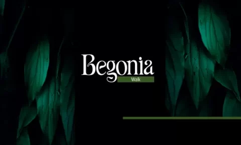 مول بيجونيا ووك التجمع الخامس (19839)20+ Begonia Walk New Cairo