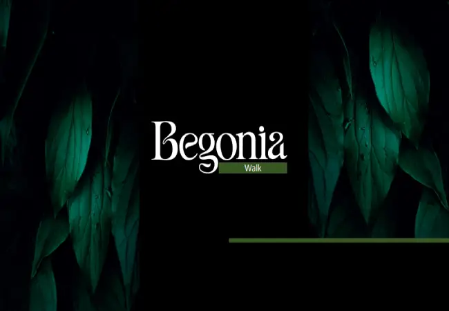 مول بيجونيا ووك التجمع الخامس (19839)20+ Begonia Walk New Cairo