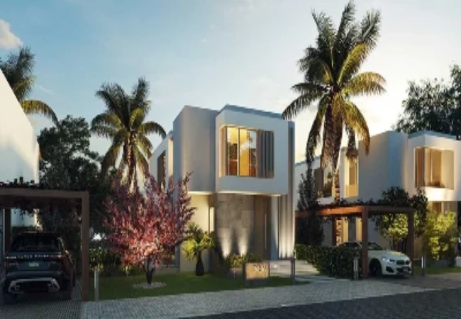 انظمه-دفع-باديه-بالم-هيلز