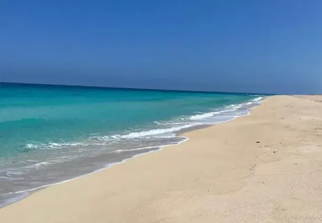 اين-يقع-مشروع-جون-سوديك-الساحل-الشمالي