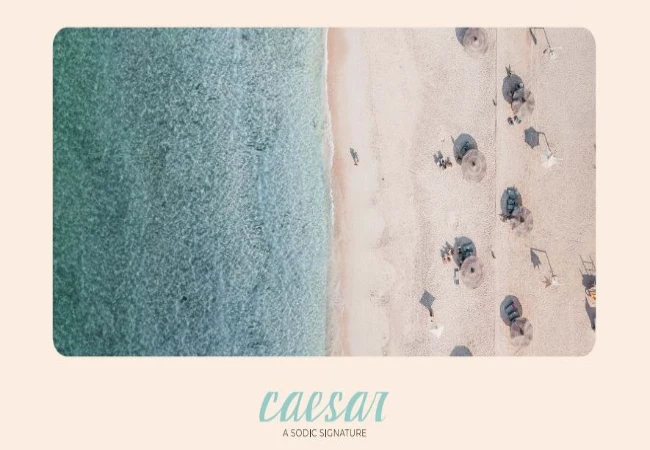 شركه-سوديك-sodic-development